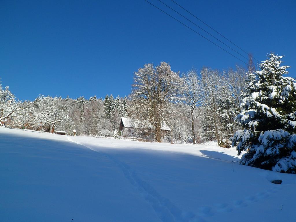 Privat Pohoda Pasek Exterior foto